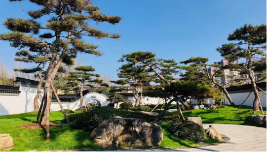 微信图片_20211202085147.png
